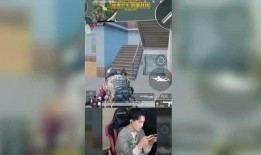 海哥家庭爆料视频,揭秘明星家庭生活点滴